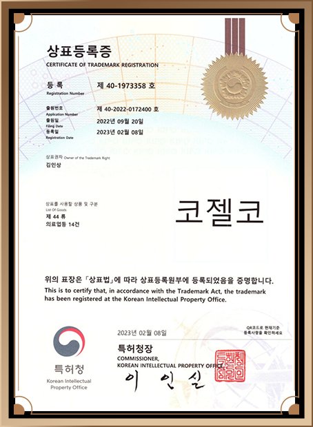비개방 코재수술 경험 많은 곳